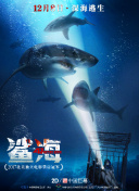 乱世神将：优化角色成长的有效路径